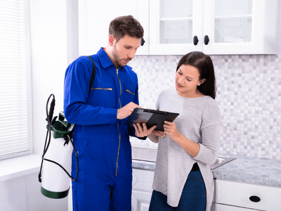 About Squirrel Trapping Falmouth - squirrel trapping experts in Falmouth